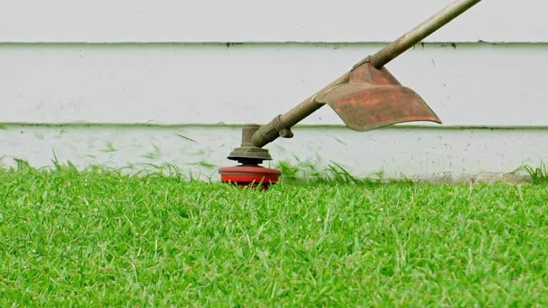 Best Lawn Irrigation Installation and Maintenance  in Kenedy, TX